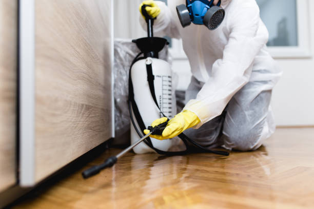 Pest Prevention Services in Hahira, GA