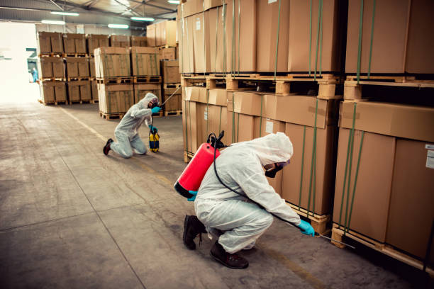Flea Control Services in Hahira, GA