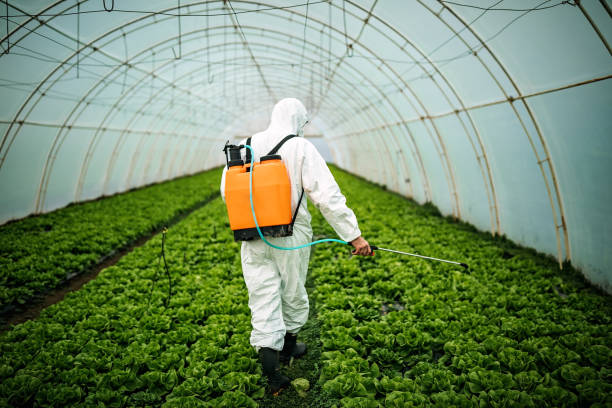 Best Pest Inspection Near Me  in Hahira, GA