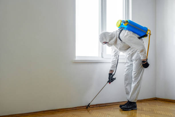 Professional Pest Control in Hahira, GA