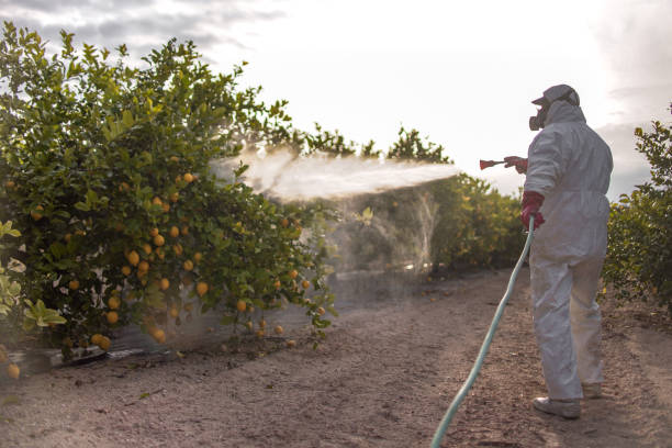 Best Affordable Pest Control Services  in Hahira, GA