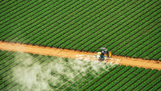 Best Mosquito Control Services  in Hahira, GA