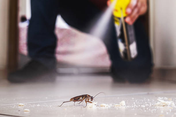 Professional Pest Control in Hahira, GA